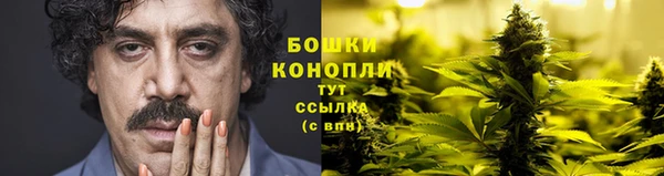 МДПВ Карпинск